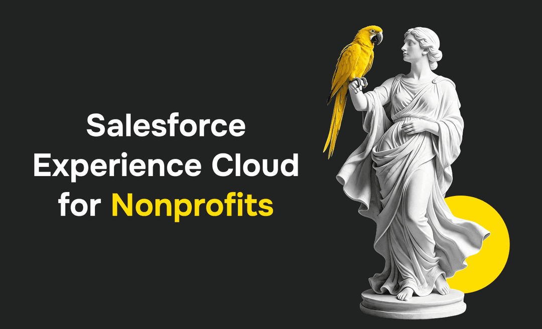 Salesforce Experience Cloud for Nonprofits: Building Portals for Donors and Volunteers
