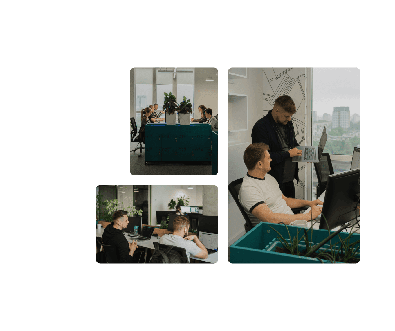Usługi wdrożenia Salesforce Health Cloud